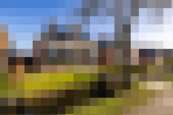 Hegedyk 9 Raerd thumbnail 11