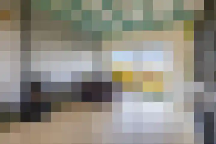 Hegedyk 9 Raerd thumbnail 20