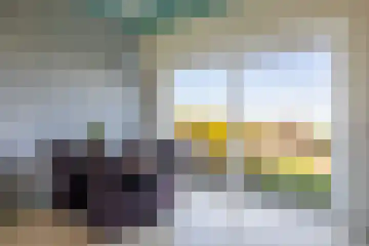 Hegedyk 9 Raerd thumbnail 21