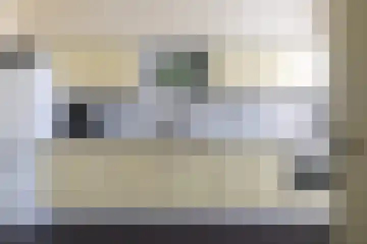 Hegedyk 9 Raerd thumbnail 23