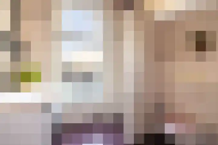 Hegedyk 9 Raerd thumbnail 27
