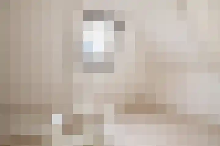Hegedyk 9 Raerd thumbnail 33
