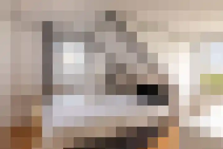Hegedyk 9 Raerd thumbnail 36
