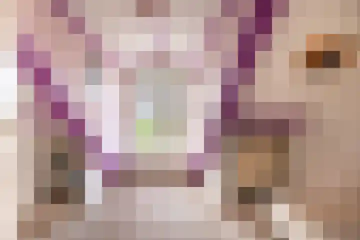 Hegedyk 9 Raerd thumbnail 39