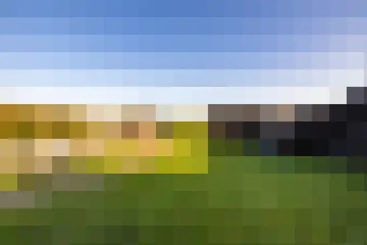 Hegedyk 9 Raerd thumbnail 4