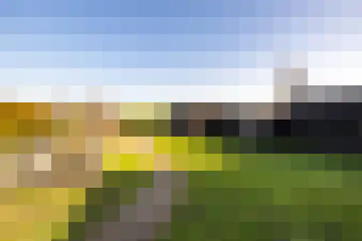 Hegedyk 9 Raerd thumbnail 45