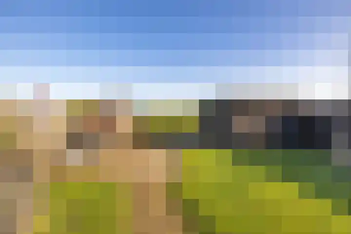 Hegedyk 9 Raerd thumbnail 46