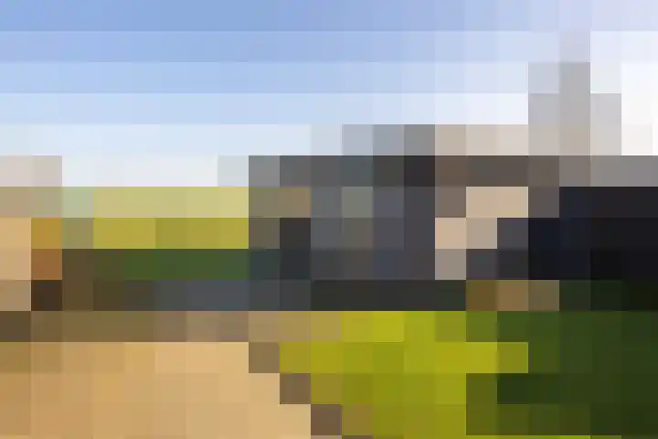 Hegedyk 9 Raerd thumbnail 47