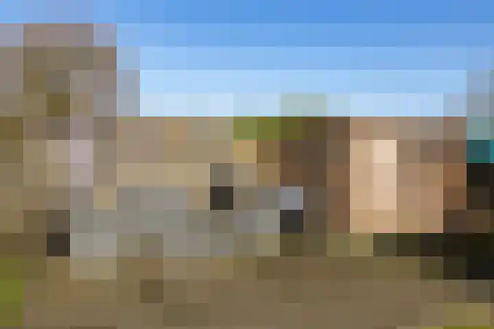 Hegedyk 9 Raerd thumbnail 48