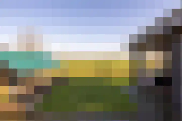 Hegedyk 9 Raerd thumbnail 49
