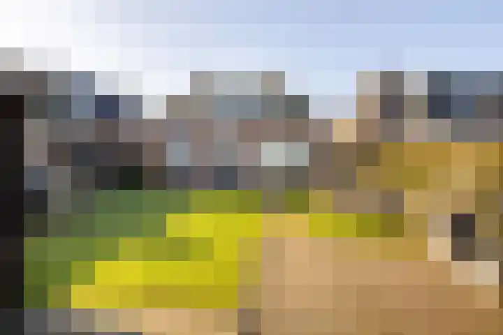 Hegedyk 9 Raerd thumbnail 5