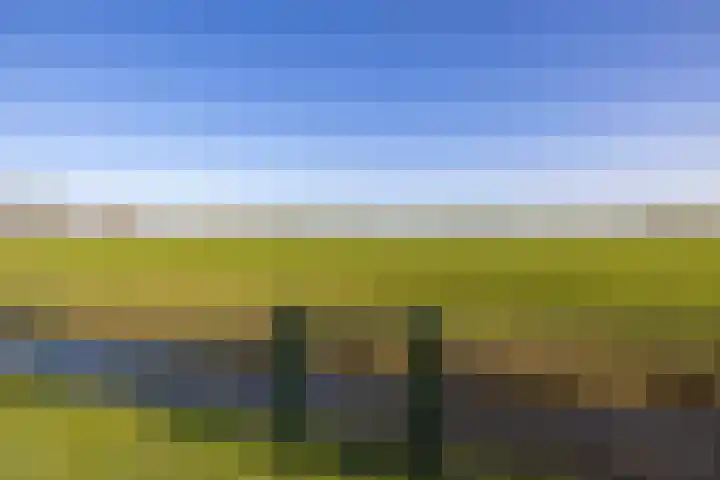 Hegedyk 9 Raerd thumbnail 50