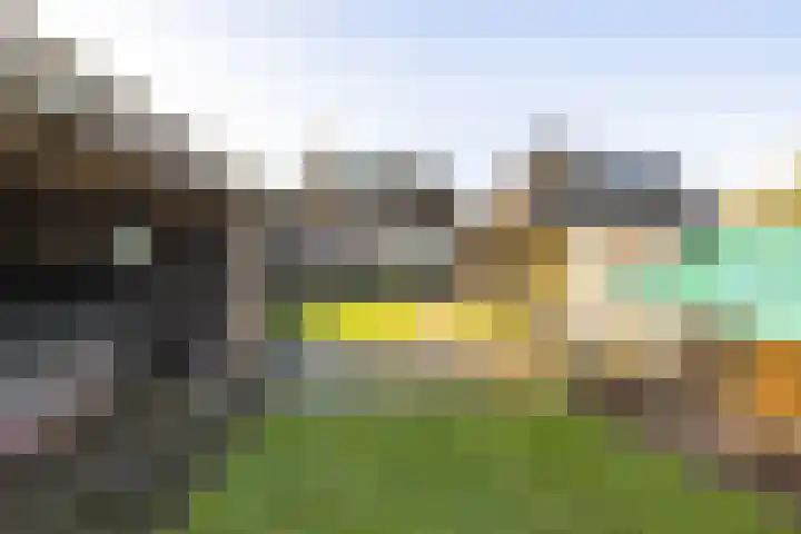 Hegedyk 9 Raerd thumbnail 51