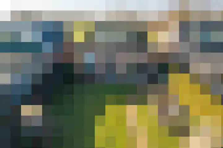 Hegedyk 9 Raerd thumbnail 54