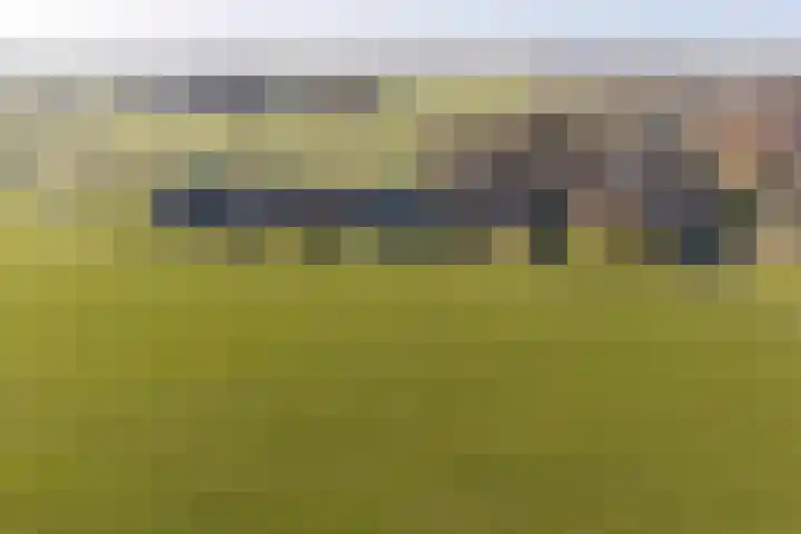 Hegedyk 9 Raerd thumbnail 55