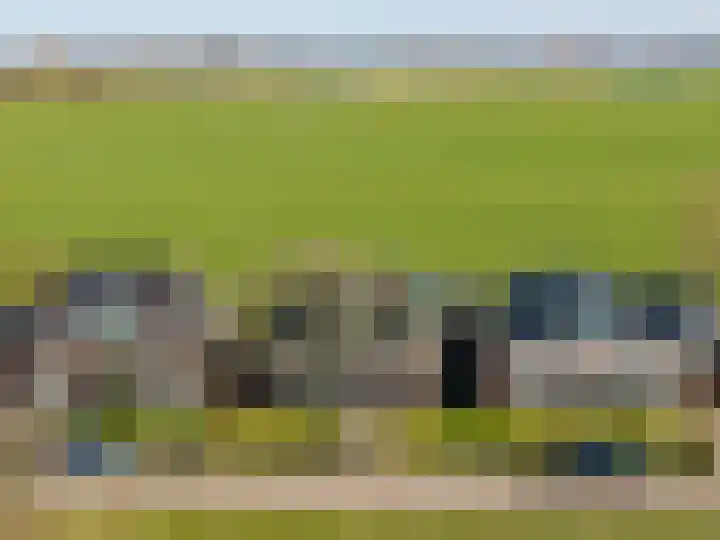 Hegedyk 9 Raerd thumbnail 6