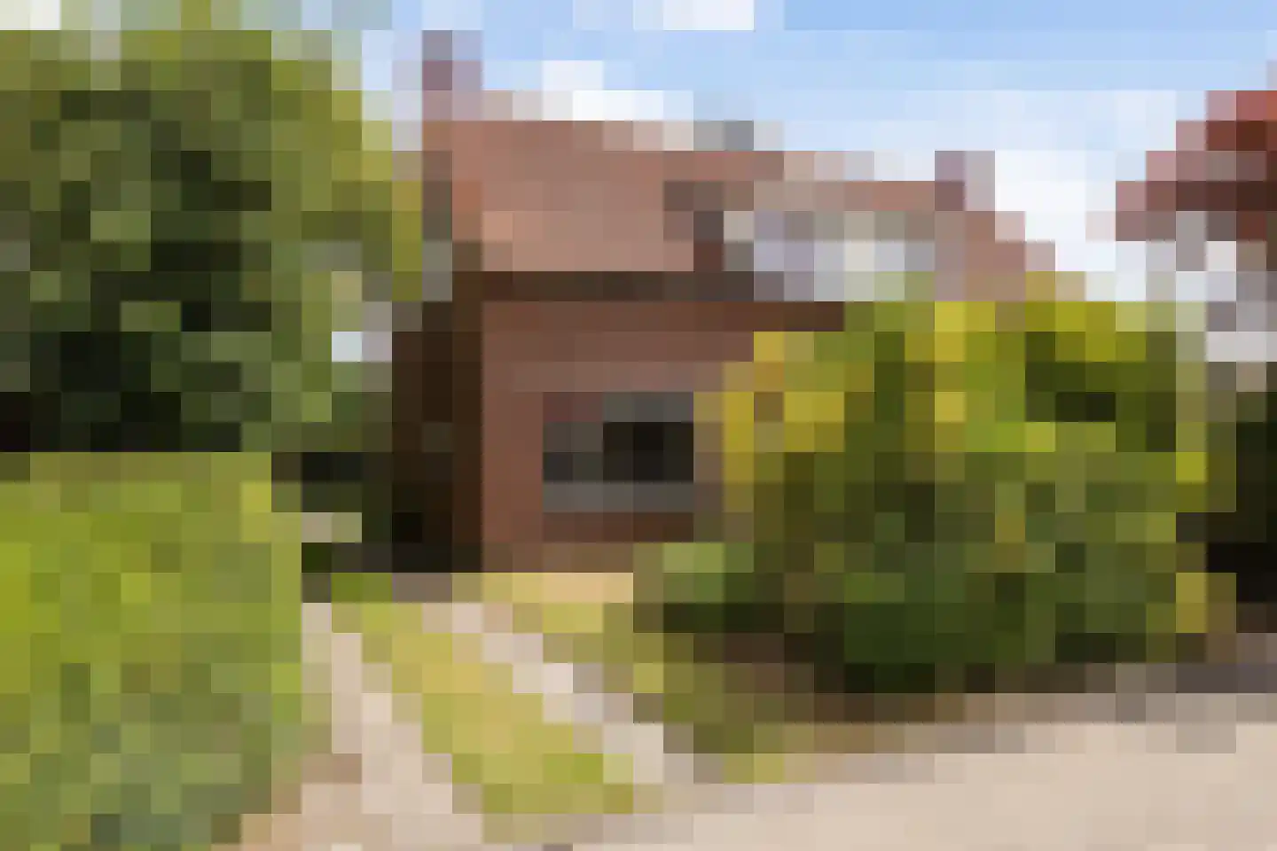 Hegedykje 9 in Opeinde