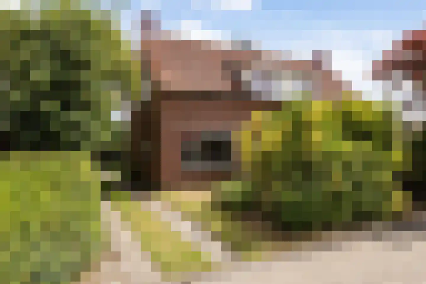 Hegedykje 9 Opeinde