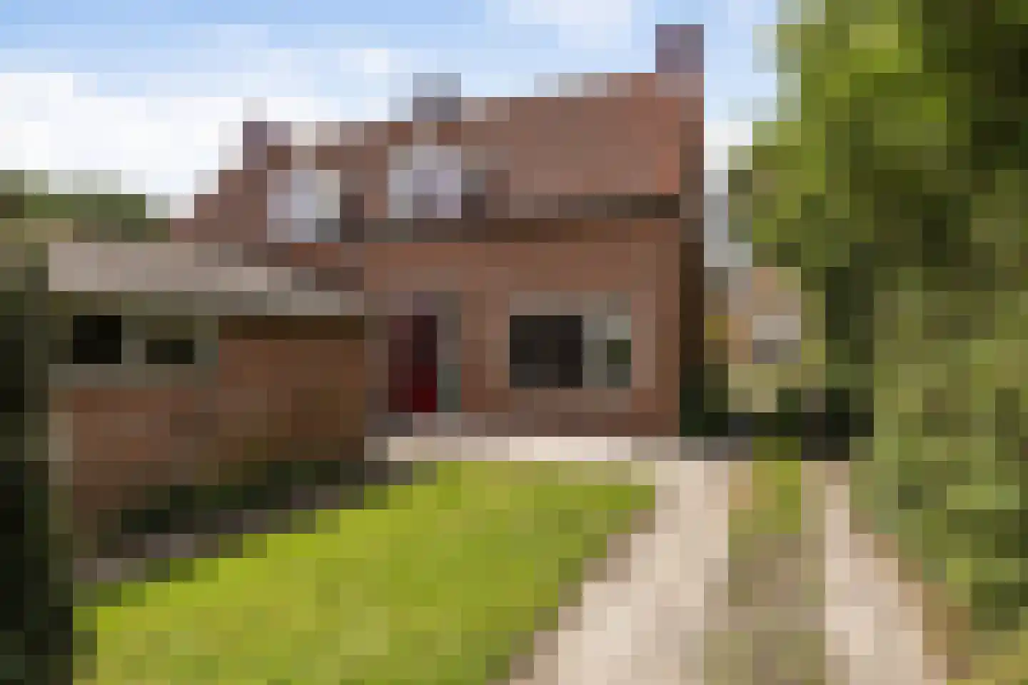 Hegedykje 9 Opeinde thumbnail 14
