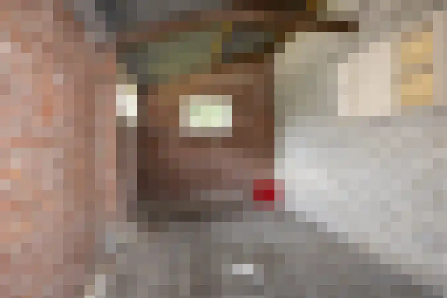 Hegedykje 9 Opeinde thumbnail 16