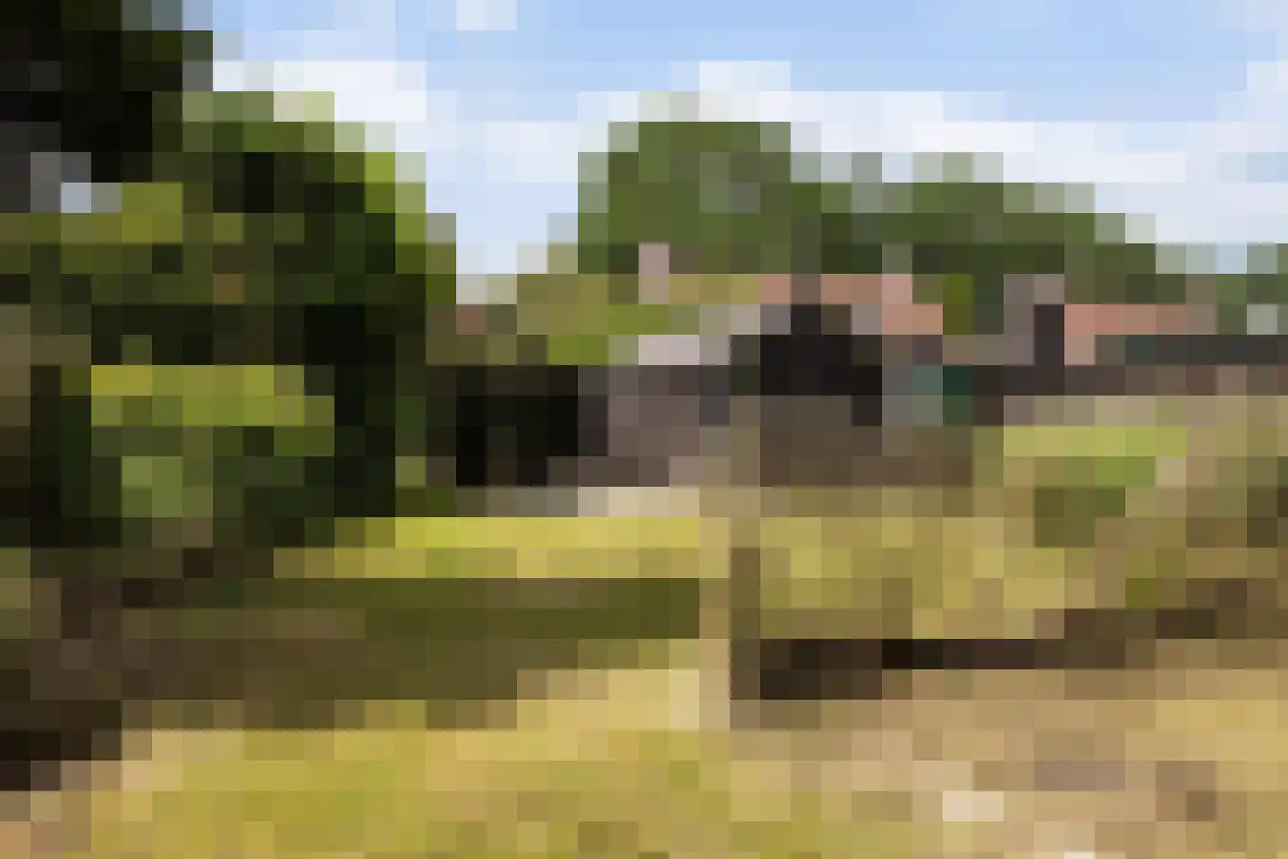 Hegedykje 9 Opeinde thumbnail 18