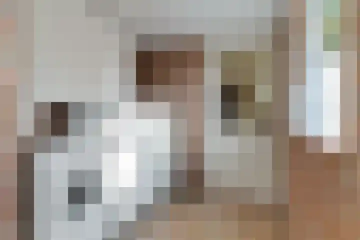 Hegemansweg 14 Hengelo thumbnail 19