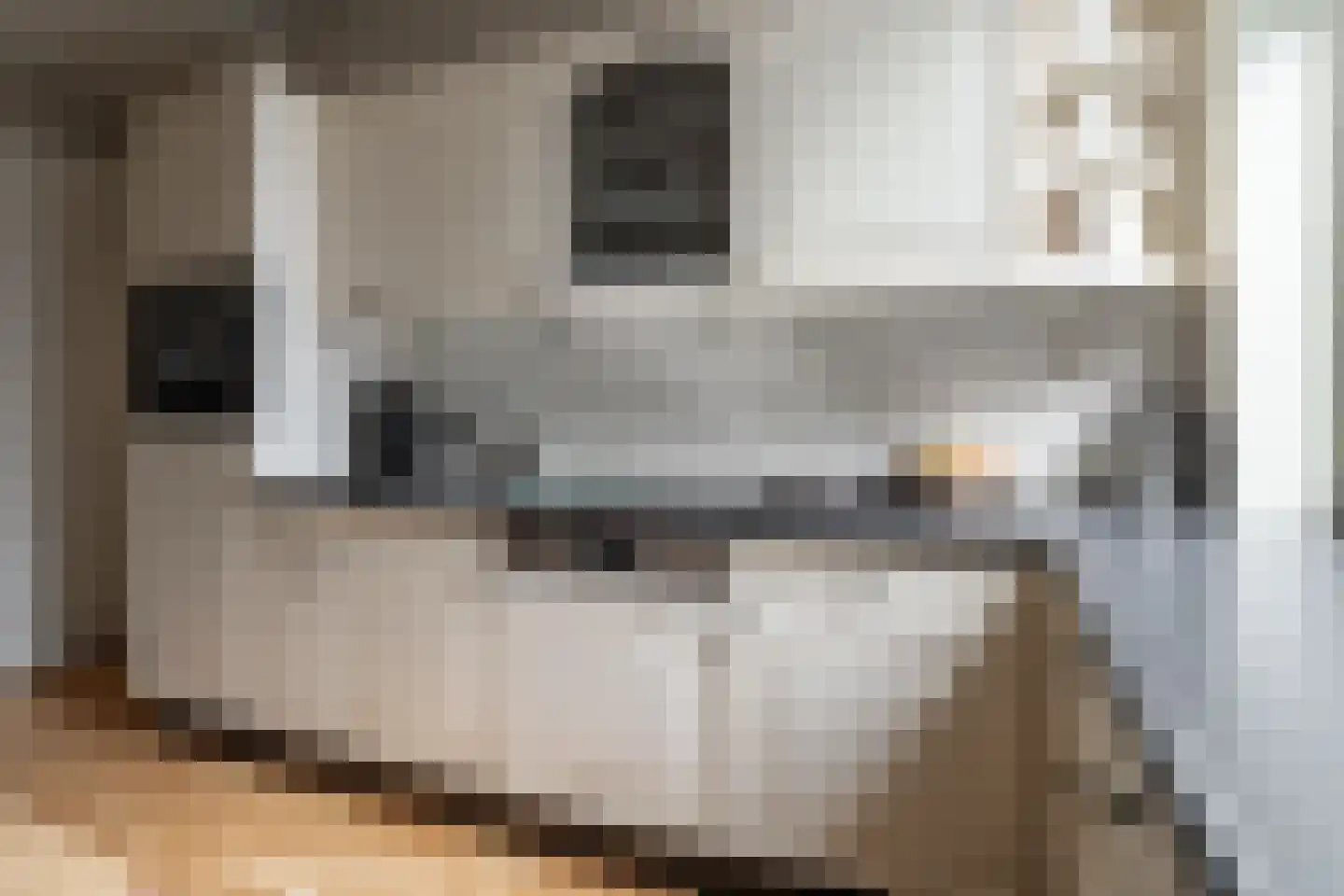 Hegemansweg 38 Hengelo thumbnail 11