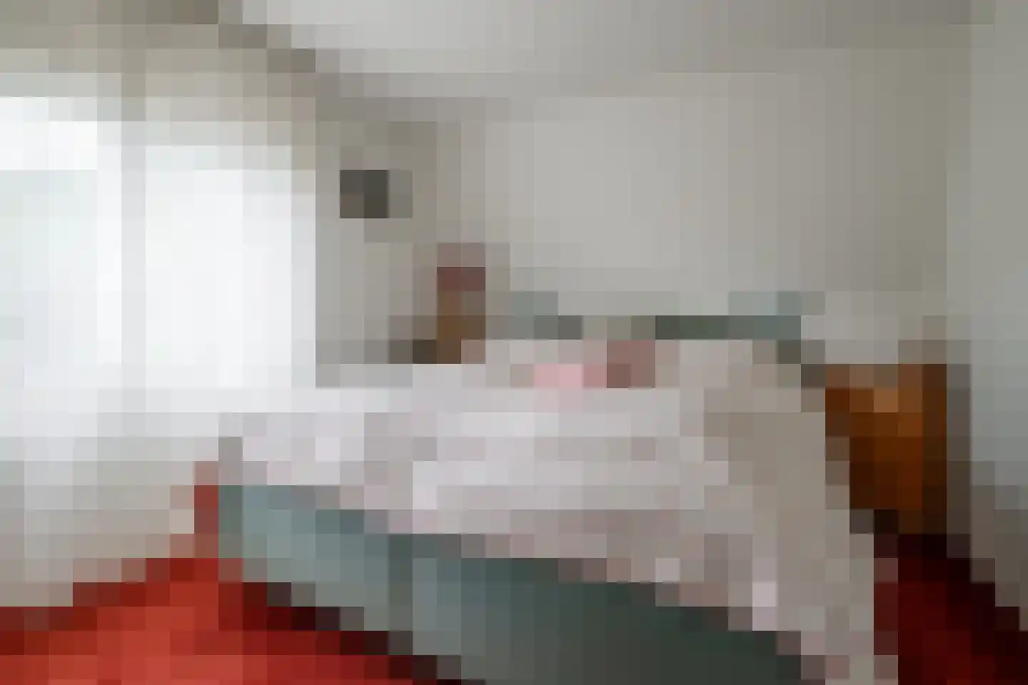 Hegemansweg 38 Hengelo thumbnail 16