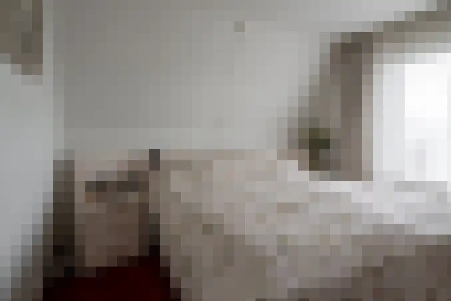 Hegemansweg 38 Hengelo thumbnail 20