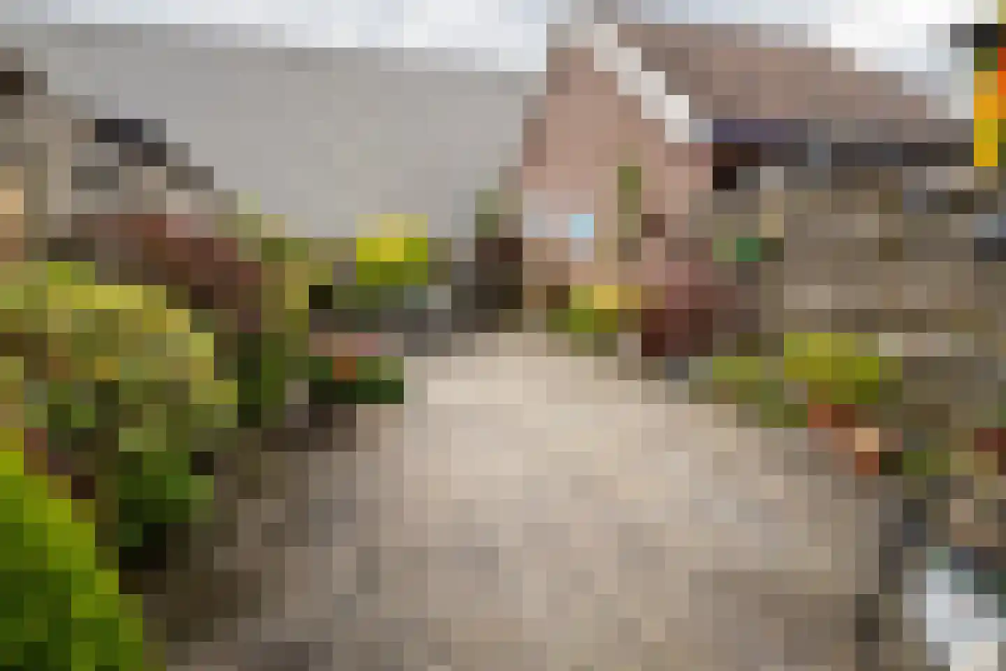 Hegemansweg 38 Hengelo thumbnail 24