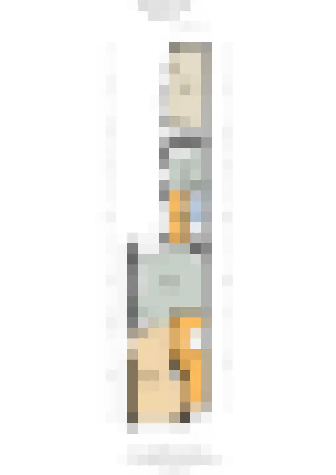 Hegemansweg 38 Hengelo thumbnail 33