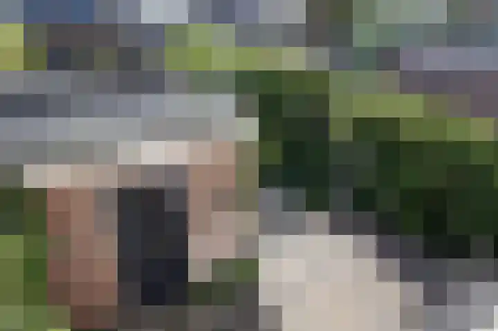 Hegenbos 14 Wezep thumbnail 14