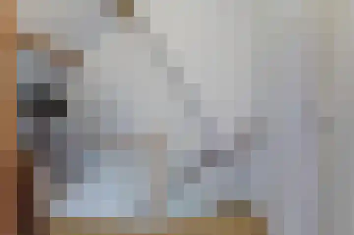 Hegenbos 14 Wezep thumbnail 20