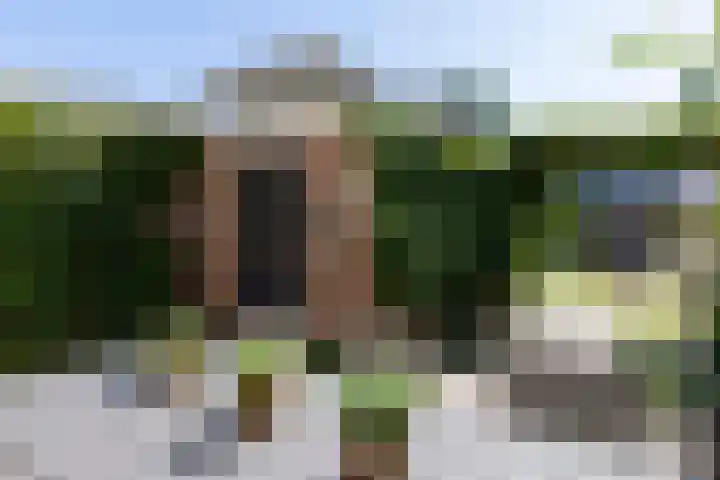 Hegenbos 14 Wezep thumbnail 25