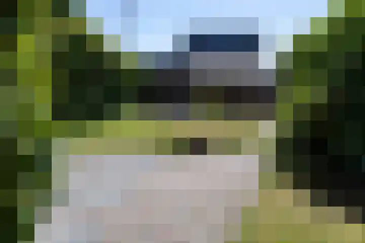 Hegenbos 14 Wezep thumbnail 26