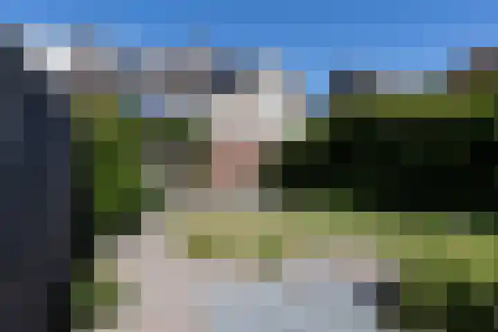 Hegenbos 14 Wezep thumbnail 27