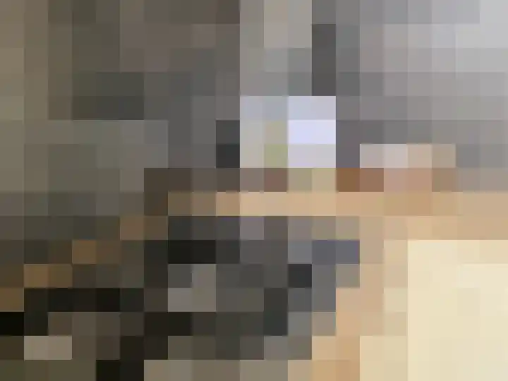 Hegenbos 15 Wezep thumbnail 11