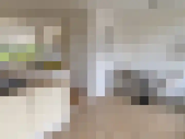 Hegenbos 15 Wezep thumbnail 13