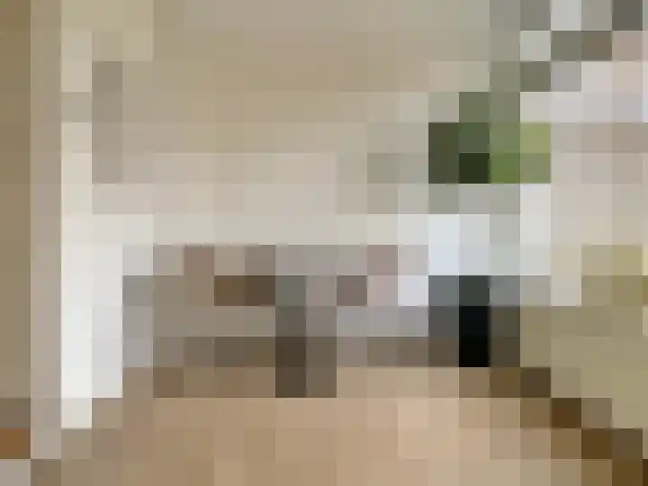 Hegenbos 15 Wezep thumbnail 14