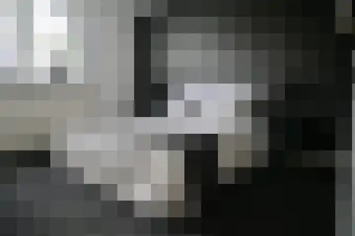 Hegenbos 15 Wezep thumbnail 16