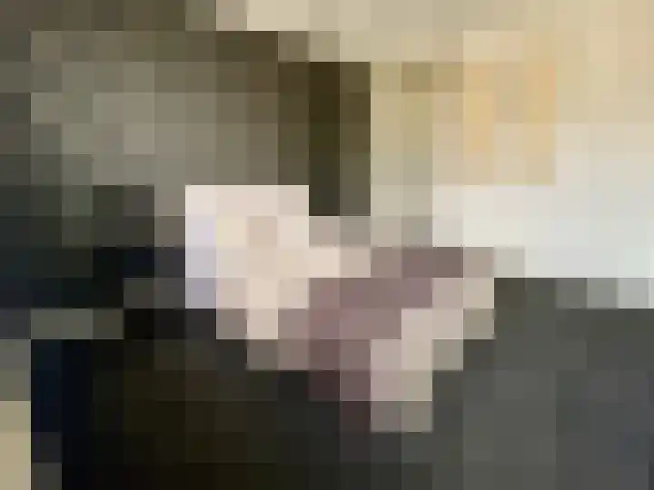 Hegenbos 15 Wezep thumbnail 18