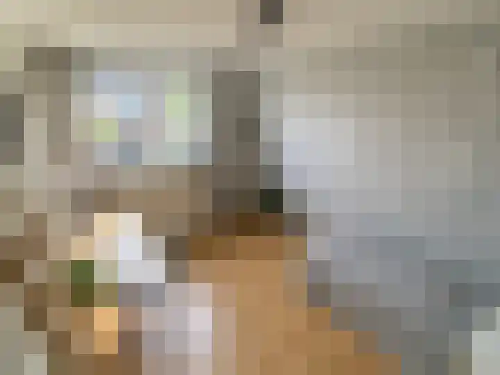Hegenbos 15 Wezep thumbnail 19