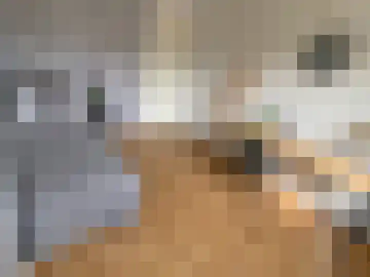 Hegenbos 15 Wezep thumbnail 20