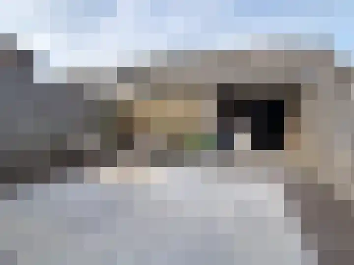 Hegenbos 15 Wezep thumbnail 26