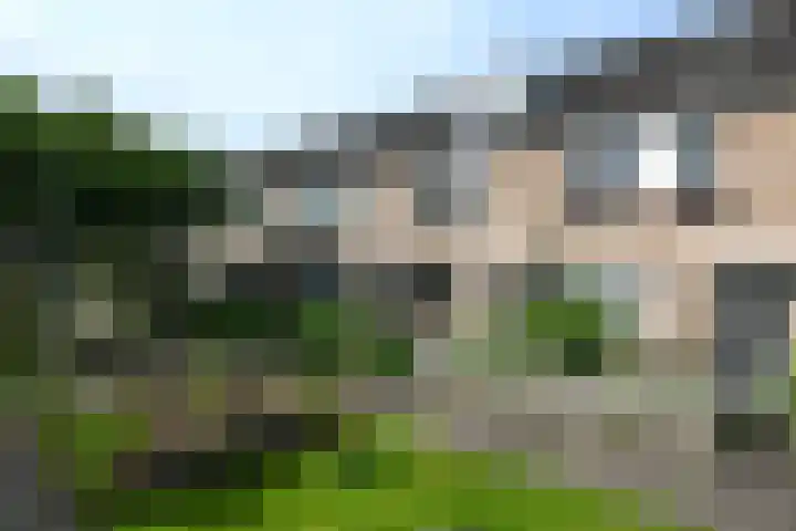 Hegenbos 15 Wezep thumbnail 32