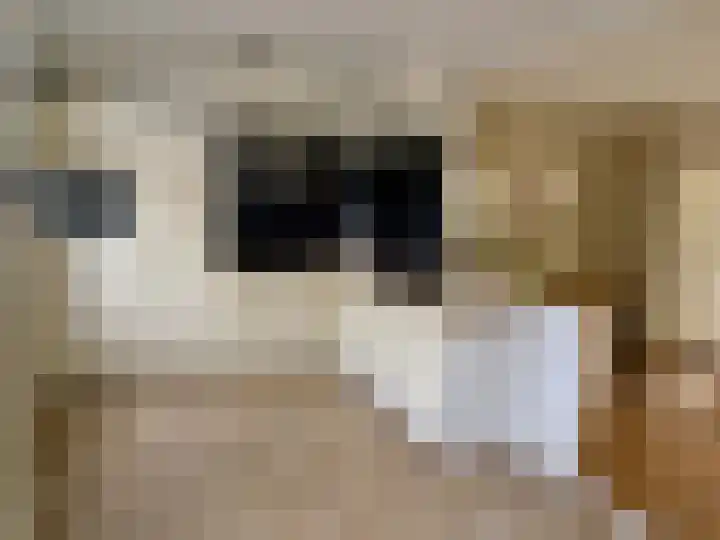 Hegenbos 15 Wezep thumbnail 4