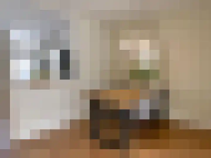 Hegenbos 15 Wezep thumbnail 9