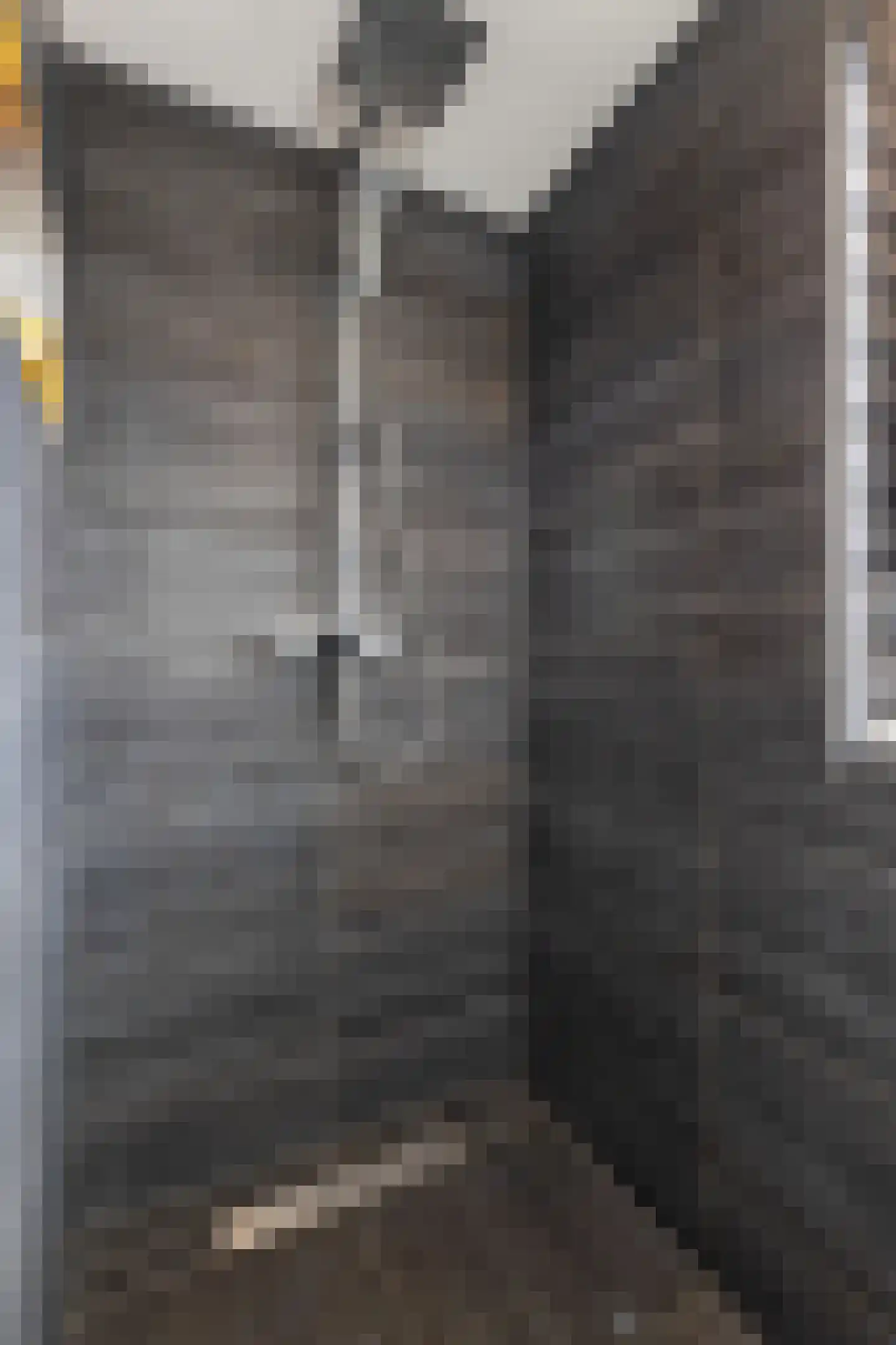 Hegenbos 35 Wezep thumbnail 27