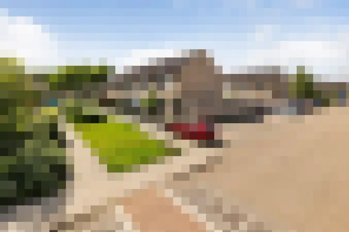 Hegenbos 35 Wezep thumbnail 40