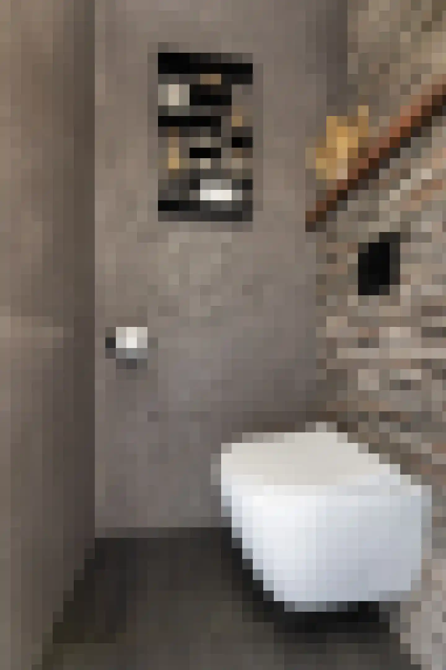 Hegenbos 35 Wezep thumbnail 9